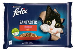Felix Fantastic multipack 4x85g s hovězím a kuřetem v želé (12)