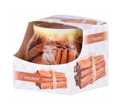 Santo svíčka 100g Cinnamon SAS 1004 (12)