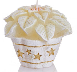 ESHOP - Bartek svíčka 255g Christmas flowers ECRU bílý