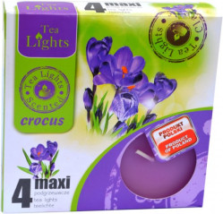 Čajová svíčka max A4 Crocus