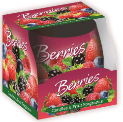Santo svíčka 100g Berries Lesní Ovoce SAS 2001 (12)
