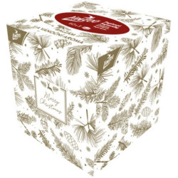 Linteo kosmetické kapesníky v boxu 60ks 3vrstvé VÁNOČNÍ (24)