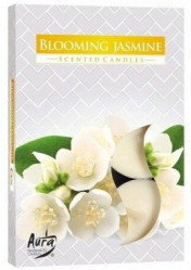 Bispol čajové svíčky 6ks Blooming Jasmine