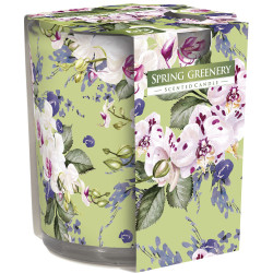Bispol vonné svíčky ve skle 100g SN72 Spring Greenery