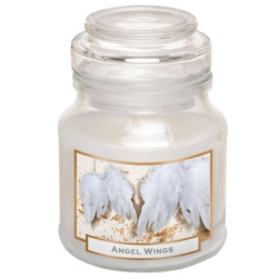 Bartek svíčka 130g sklo Angel Wings (12)