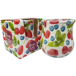 Santo svíčka 80g Berries a Fruits SAS 4008 (12)