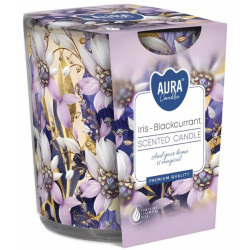 Bispol vonné svíčky ve skle 100g SN72S - 59 Blackcurrant (6)