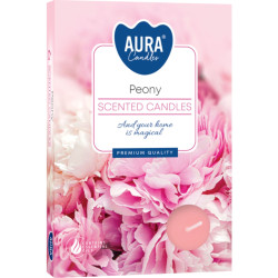 Bispol čajové svíčky 6ks Peony