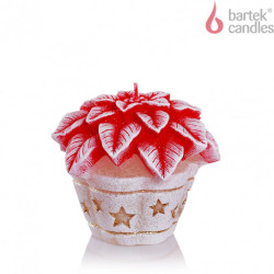 Bartek svíčka 255g Christmas flowers ECRU/červený*