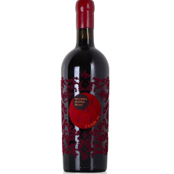 Masseria Doppio Passo 0,75l Cuveé 16 Vino Rosso D´Italia (6)