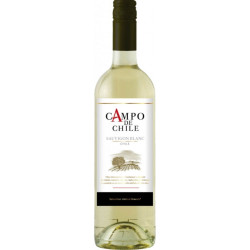 Campo de chille Sauvignon Blanc 0,75L (6)