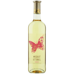 Mikulov Motýl 11,5% Muskat Ottonel / Moravský 0,75l (6)