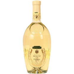Gold Asconi víno 0,75l Muscat (6)