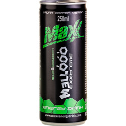 Maxx energy 0,25L plech Meloun (24)