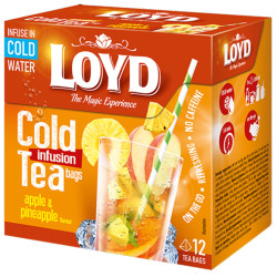 Loyd čaj Cold Brew Apple and Pineapple 30g (10)