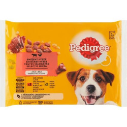 Pedigree 4ks x 100g hovězí / Drůbeží v želé DG21K (13)