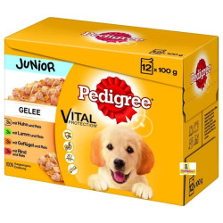 Pedigree kapsle 100g x 12ks Junior smíšený výběr
