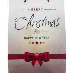 Dárková taška MERRY CHRISTMAS Size L 30x41x12cm KOD: 700317 (12)