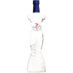 Alkohol - Kamasutra Oriental Gingeng vodka 40% 500ml (6)