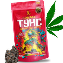 CANAPUFF Květy (T(9)HC) 99% - Euforic 1g