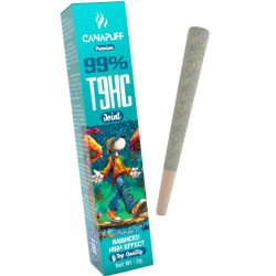 CANAPUFF Joint T9HC 99% - Balanced 2g