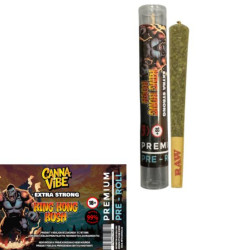 Canna Vibe Joint 99% - King Kong Kush
