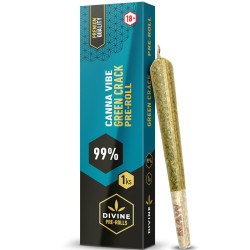 Canna Vibe Joint Premium Box 99% - Green Crack