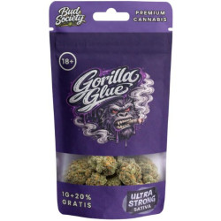 BUD SOCIETY Květy - Gorilla Glue 1g+20%