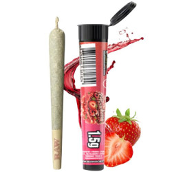 BUD SOCIETY Joint - Strawberry Og 1,5g