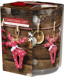 Bispol vonné svíčky ve skle 100g SN72 Christmas Gift