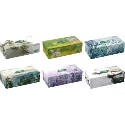 TENTO KoU Family box 120ks 2vrstvý kapesníky