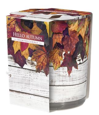 detail Bispol vonné svíčky ve skle 100g SN72 Hello Autumn