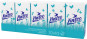 xem trước Linteo papírové kapesníky 2vrstvé 10x10 (24)