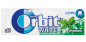náhled ORBIT 14g White Spearmint (30)