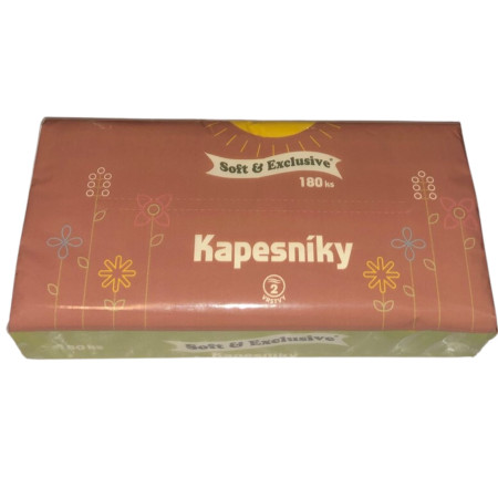 detail Soft Exclusive kapesníky 2vrstvý 180ks (24)