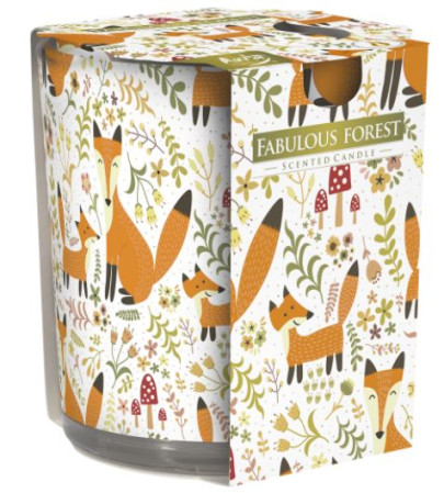 detail Bispol vonné svíčky ve skle 100g SN72 Fabulous Forest