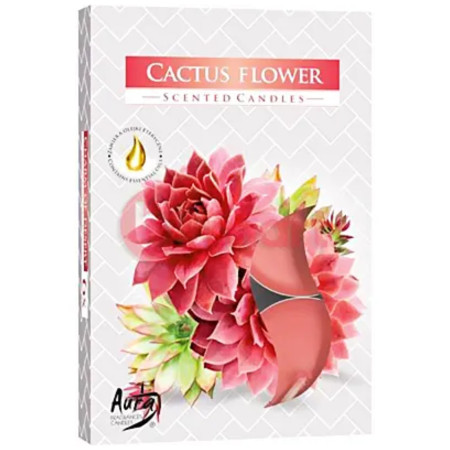 chi tiết Bispol čajové svíčky 6ks Cactus Flower