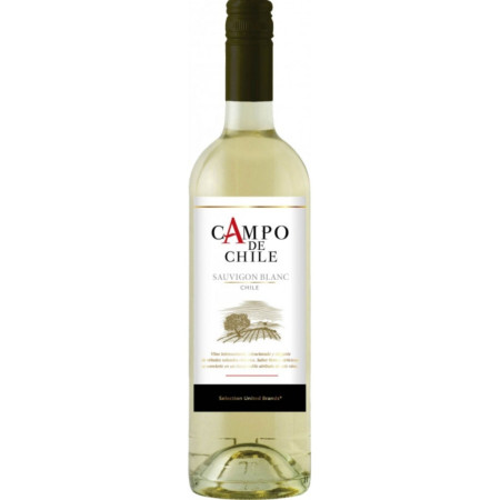 chi tiết Campo de chille Sauvignon Blanc 0,75L (6)
