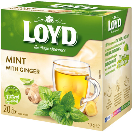 detail Loyd čaj mint and ginger 40g (máta a zázvor) (10)