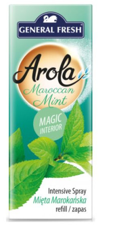 detail General Fresh náplň do šišky 40ml Maroccan mint (10)