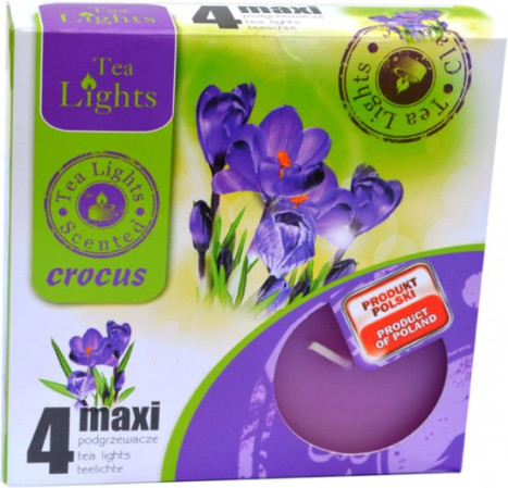 detail Čajová svíčka max A4 Crocus (10)