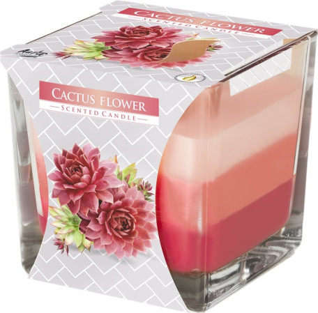 detail Bispol 3barevná svíčka ve skle 170g Cactus Flower (hop vuong)