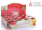 xem trước Bartek svíčka sklo 115g Christmas flower (12)