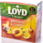 xem trước Loyd čaj broskve citrón 40g (10)