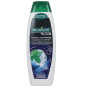 náhled PALMOLIVE šampon 350ml MEN proti lupům (Mint)