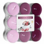 náhled Bispol čajové svíčky 18ks Frozen Berries