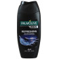 náhled Palmolive sprchový gel 250ml MEN refreshing