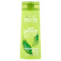 náhled Garnier fructis šampon 250ml Anti dandruff 2in1