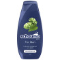 xem trước Schauma 400ml šampon For Men Strengthens & care (modrý) (5)