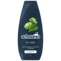 xem trước Schauma 400ml šampon For Men Mint (černý) (5)